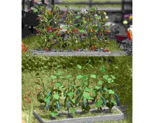 GURKEN en TOMATEN H0 1214