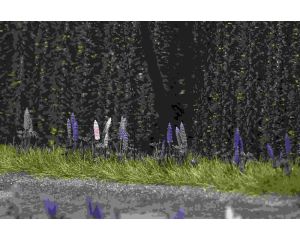 WILD-LUPINEN H0 1217