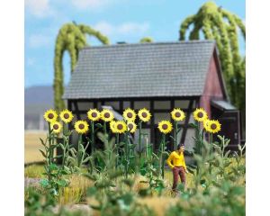 RIESEN-SONNENBLUMEN H0 1261