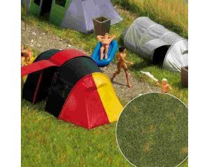 SOMMERGRAS 1303