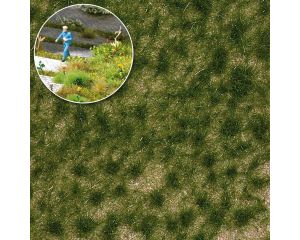 GRASBUSCHEL LANG SPATSOMMER 4 MM 3518