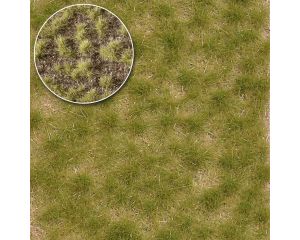GRASBUSCHEL ZWEIFARBIG KURZ SPATSOMMER 4 MM 3533