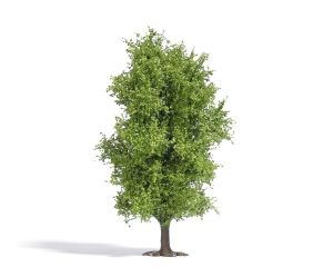 BAUM 115 MM FRUHLING H0 3721