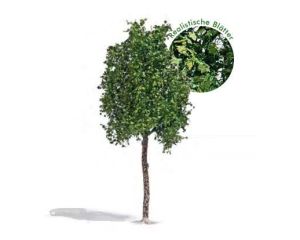 PLANTANE 170 MM SOMMER H0 3792