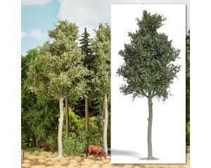 WALDBUCHE 170 MM H0 3798