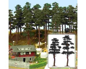 2 KIEFERN 130/145MM 6141