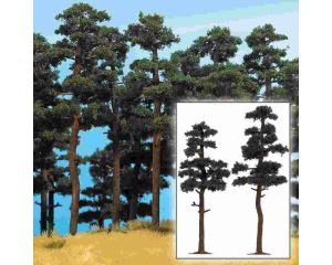 2 KIEFERN 145/160MM 6142