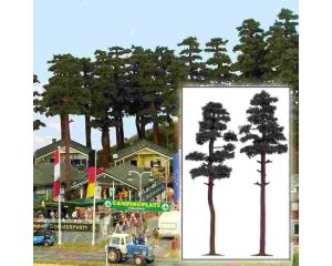 2 KIEFERN 185/195MM 6143