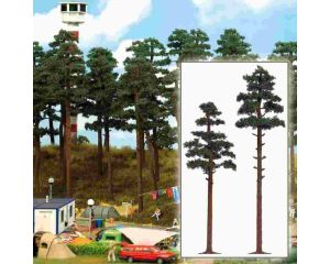 2 KIEFERN 175/210MM 6144