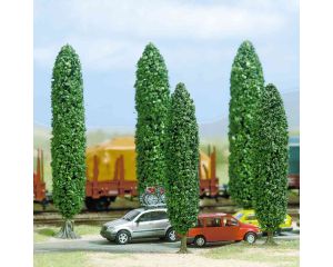 5 SILBERPAPPELN H0/TT/N 6228