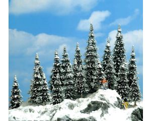 20 SCHNEETANNEN N/TT 6566