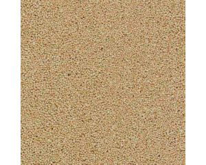 SCHOTTER BEIGE N/Z 7060
