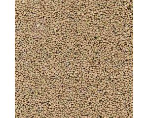 SCHOTTER BEIGE GROB H0/N/TT 7061