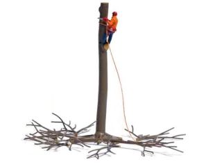 A-SET: BAUMABTRAGUNG H0 7972