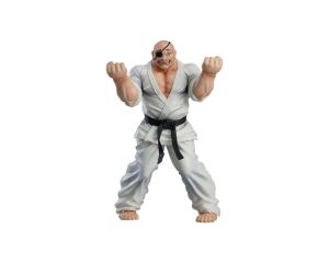 BAKI DOPPO OROCHI CG-GSC-44465