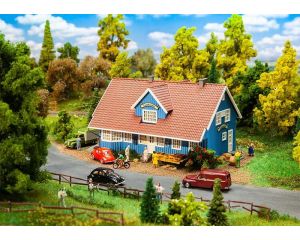 1/87 ZWEEDSE DORPSWINKEL 130660