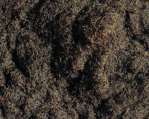 GRASVEZELS DONKERBRUIN 35 G 170727