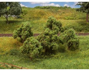 APPELBOMEN 5 STUKS 181404