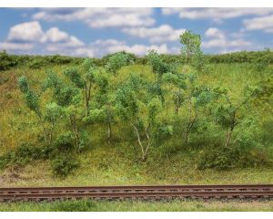 BOMEN/STRUIKEN VOOR LANGS DE BOSRAND 181409