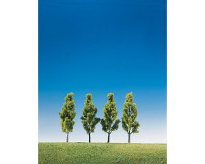 BERKEN 4 STUKS 181423