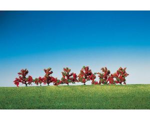 STRUIKEN ROOD BLOEIEND 6 STUKS 181476
