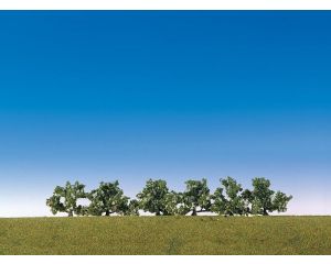 STRUIKEN WIT BLOEIEND 6 STUKS 181478