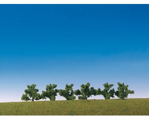 STRUIKEN GROEN 6 STUKS 181479
