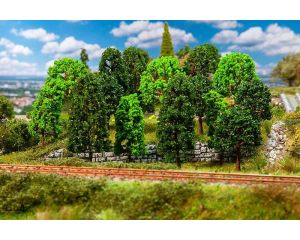 LOOFBOMEN GESORTEERD 15 ST. 181524