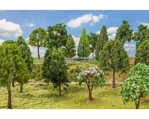LOOFBOMEN 30 STUKS 181525