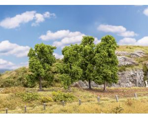 1/87 LOOFBOMEN 4 STUKS 181575
