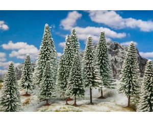 18 WINTERDENNEN 181580