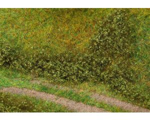 BLADFOLIAGE ZOMERGROEN 181618