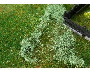 BLADFOLIAGE MIDDELGROEN 181619