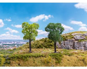 BOOM PRUIMENBOMEN 2 STUKS 181803