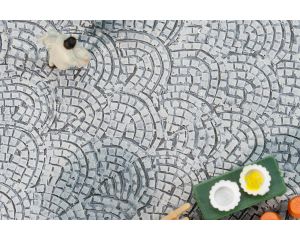 1/160 PREMIUM WEGDEKFOLIE ROMEINSE KASSEIEN (05/25)* 272312