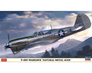 1/48 P-40N WARHAWK NATURAL METAL ACES 07516 07516