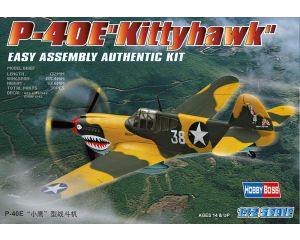 1/72 P-40E KITTYHAWK 80250