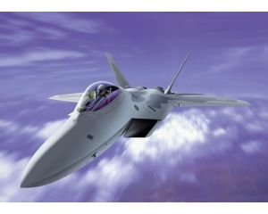 1/72 F-22 RAPTOR 1207S