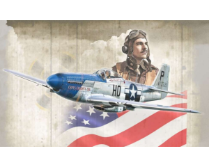 1/72 P-51D MUSTANG ACES (05/25) * 1484S