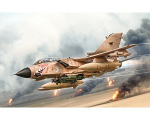 1/32 TORNADO GR.1/IDS (9/25) * 2521s
