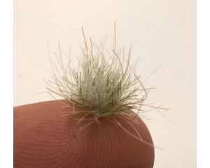 WINTER COLOURED GRASS TUFTS 12MM 38 GR. 186