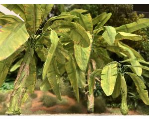1/32 BANANA LEAF A 269