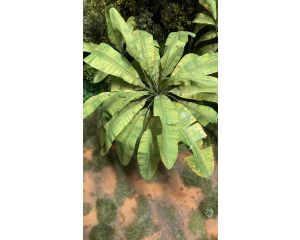 1/32 BANANA LEAF B 270
