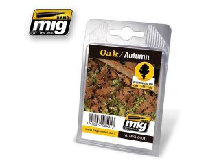 VEGETATION OAK - AUTUMN A.MIG-8401