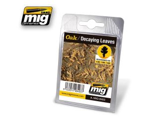 VEGETATION OAK - DECAYING LEAVES A.MIG-8403
