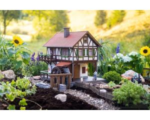 1/22,5 WATERMOLEN MET VAKWERK (04/25)* 331115