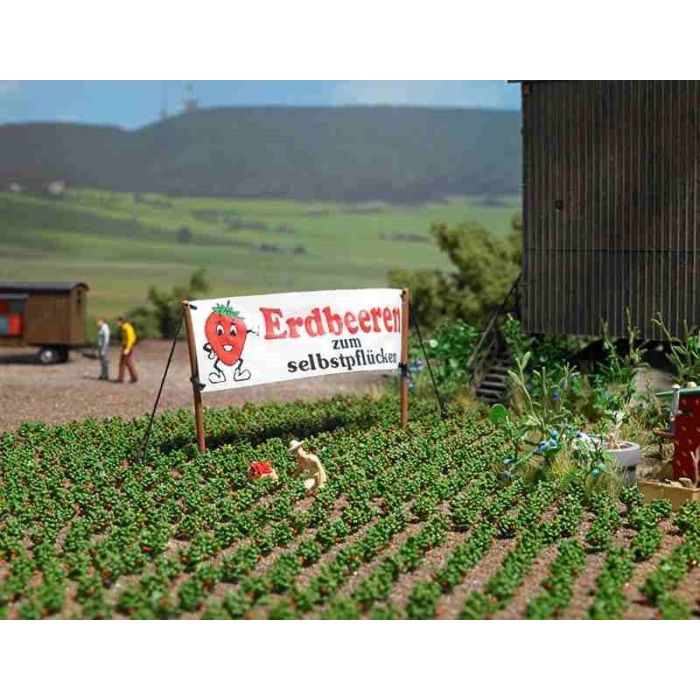 ERDBEEREN H0 1265