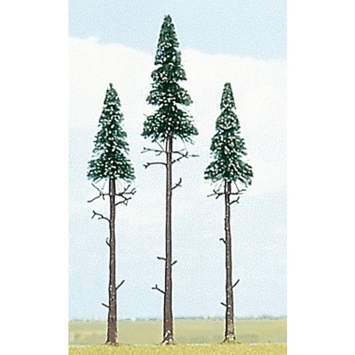 3 FICHTEN, 140-170MM H0 6118