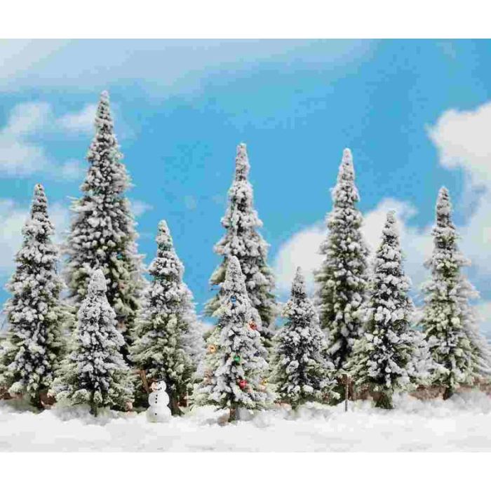 10 SCHNEETANNEN H0 6465