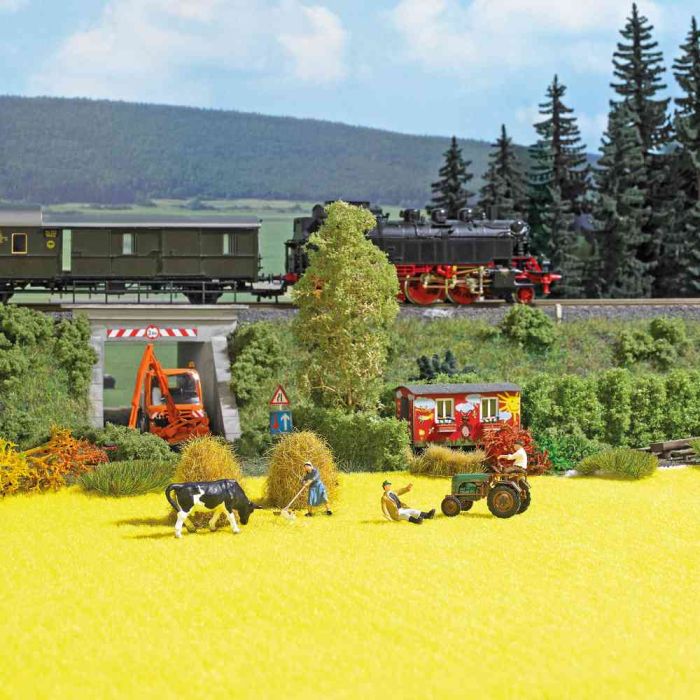 RAPSFELD H0/TT/N 9771